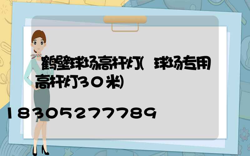 鹤壁球场高杆灯(球场专用高杆灯30米)