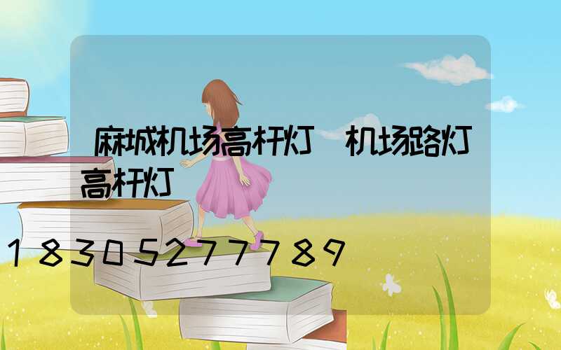 麻城机场高杆灯(机场路灯高杆灯)