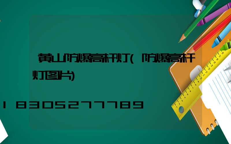 黄山防爆高杆灯(防爆高杆灯图片)