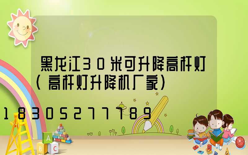 黑龙江30米可升降高杆灯(高杆灯升降机厂家)