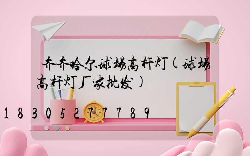 齐齐哈尔球场高杆灯(球场高杆灯厂家批发)