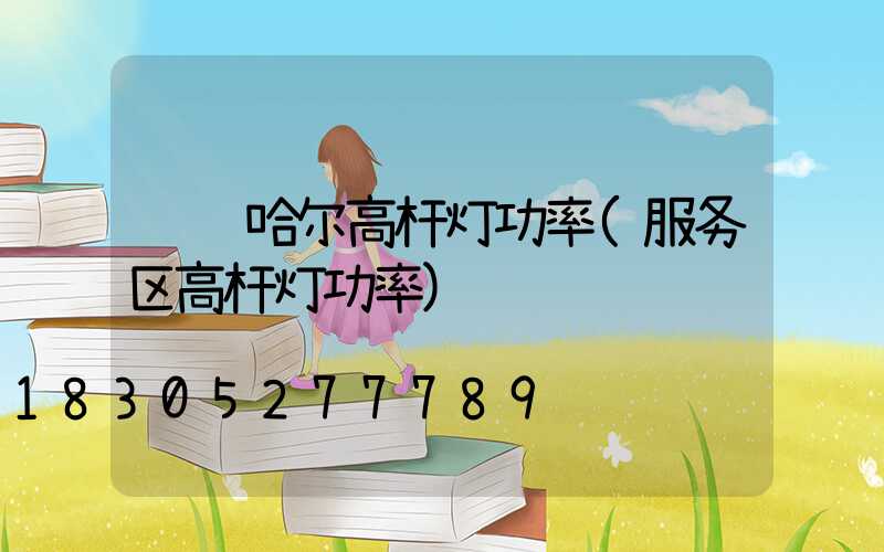 齐齐哈尔高杆灯功率(服务区高杆灯功率)