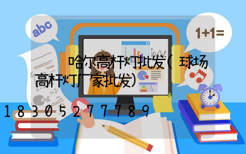 齐齐哈尔高杆灯批发(球场高杆灯厂家批发)